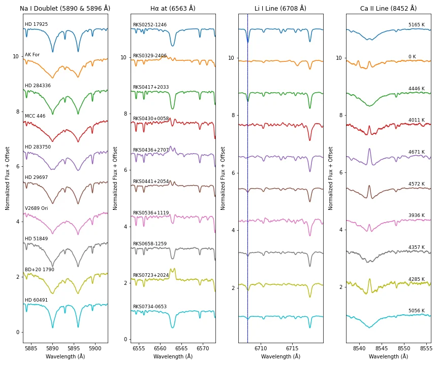 K dwarf spectral line diagnostics